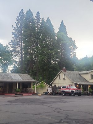 Dunsmuir Lodge by null