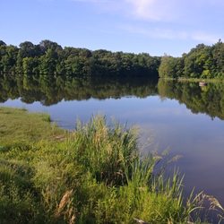 The Lakehouse by Historic Red Rooster - Who wouldn't want to have coffee in the morning with this view.