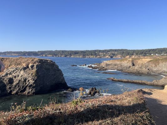Mendocino Headlands State Park by null