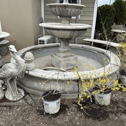 Pots & Plants