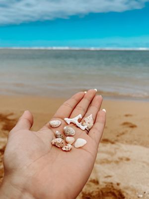Anini Beach by null