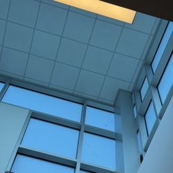 Total Point Emergency Center - Conroe - Spider webs and spiders all over the ceiling
