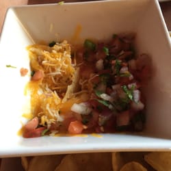 Anejo Cantina and Grill - This is their idea of queso...a bowl of unmelted cheese. My 6 year old niece could make this and it would taste better.