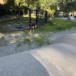 Tudor Street Dog Park