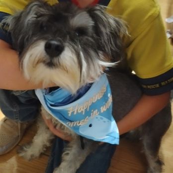 Skyline Grooming - Pet Groomers Near Me - Fairview, Utah