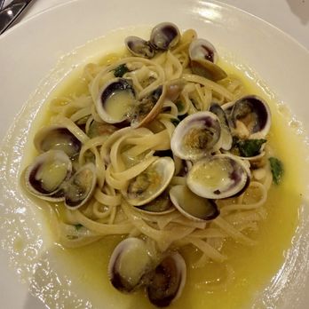 Sergio's Ristorante - Linguine with Clams - Italian Near Me - Pelham, New York