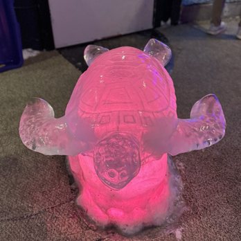 Fairbanks Ice Museum - Iced turtle - Museums Near Me - Fairbanks, Alaska