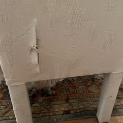 Austin's Moving Company - Torn chair