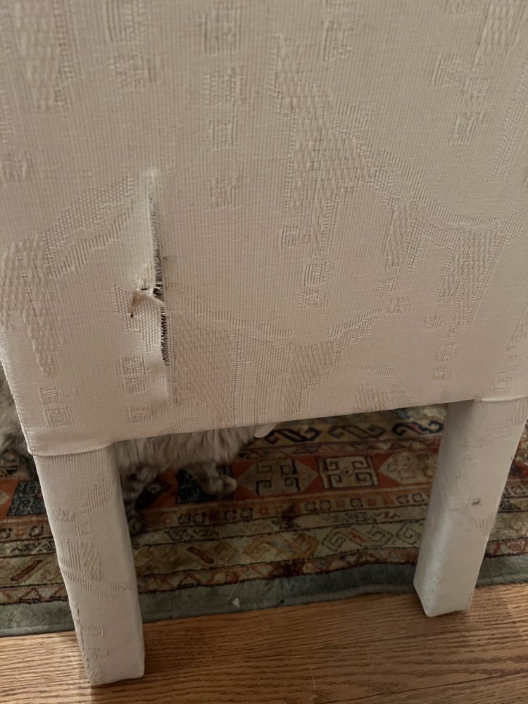 AUSTIN’S MOVING Updated October 2024 17 Photos & 10 Reviews 114B