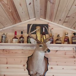 a deer head mounted on a wall a deer head mounted on a wall