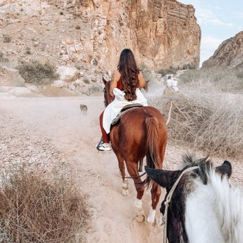 Wild West Horseback Adventures - Horseback Riding Near Me - Las Vegas, Nevada Wild West Horseback Adventures - Horseback Riding Near Me - Las Vegas, Nevada