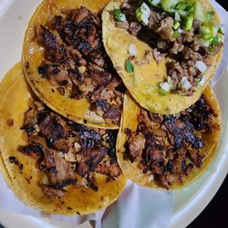 El Borrego Viudo