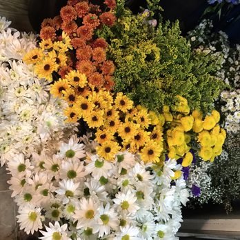Wilton Manors Flowers - Gift Shops Near Me - Wilton Manors, Florida Wilton Manors Flowers - Gift Shops Near Me - Wilton Manors, Florida