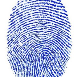 Northeast Fingerprinting