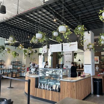 Cafe Quiquiriqui - Coffee & Tea Near Me - Tampa, Florida Cafe Quiquiriqui - Coffee & Tea Near Me - Tampa, Florida