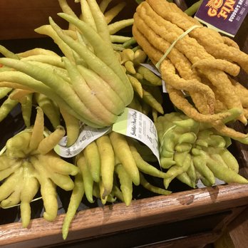 The Fresh Market - Buddha's Hand Citron ~ Sooo cool looking ! - Grocery Near Me - Tampa, Florida The Fresh Market - Buddha's Hand Citron ~ Sooo cool looking ! - Grocery Near Me - Tampa, Florida