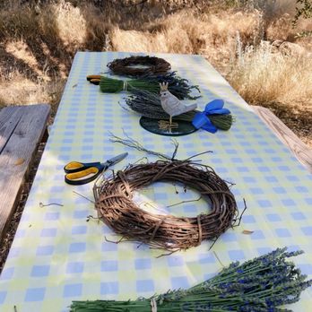 Life Under The Oaks Lavender Farm - Wreath making class ( all supplies provided) - Farms Near Me - Oracle, Arizona Life Under The Oaks Lavender Farm - Wreath making class ( all supplies provided) - Farms Near Me - Oracle, Arizona