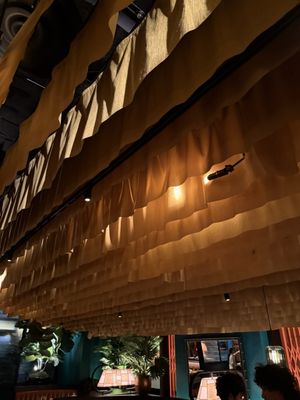 Crying Tiger by null