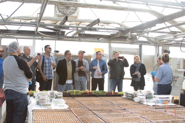 The Chef's Garden by null