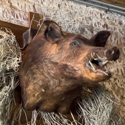 Union Brewery - Wild Boars Head