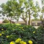 Photo of Westwind Landscape and Tree Service