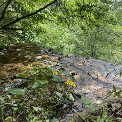 Evins Mill - Another small falls