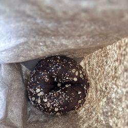 Bagel Schmagel