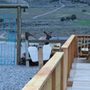 Photo of Dreamcatcher Tipi Hotel
