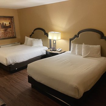 Golden Nugget Laughlin Hotel & Casino - Pet friendly Queen room :) - Hotels Near Me - Laughlin, Nevada Golden Nugget Laughlin Hotel & Casino - Pet friendly Queen room :) - Hotels Near Me - Laughlin, Nevada