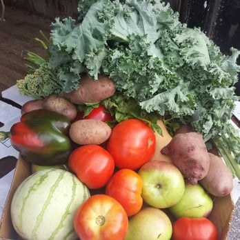 Beckett Farms - Fall week 2 - CSA Near Me - Glastonbury, Connecticut