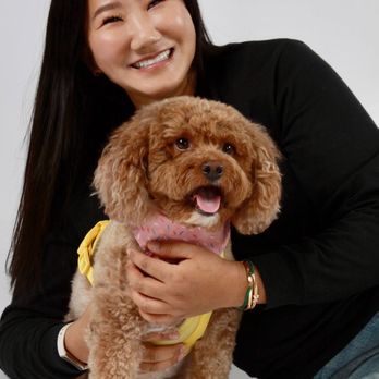 Pet Poses Photography - Pet Photography Near Me - San Francisco, California Pet Poses Photography - Pet Photography Near Me - San Francisco, California