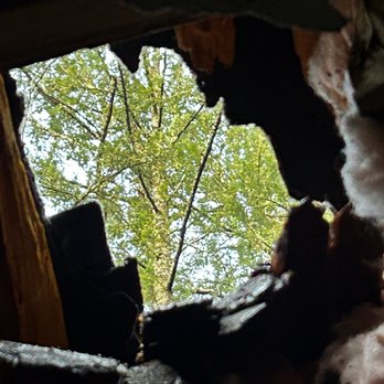 E Sanchez roofing - I've never hated a tree before... - Gutter Services Near Me E Sanchez roofing - I've never hated a tree before... - Gutter Services Near Me