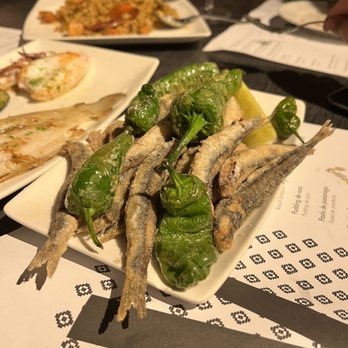 Vinitus - Tapas Bars Near Me - Barcelona, B