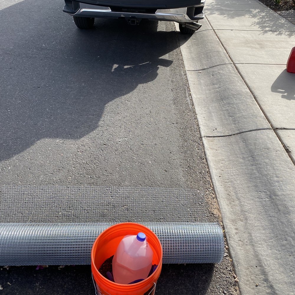 Pigeon Problem Solvers - Wildlife Control Near Me - Mesa, Arizona
