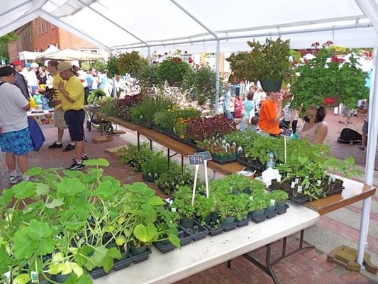 Salem Farmers' Market by null