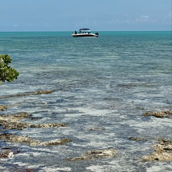 Island Fish - Water views - Seafood Near Me - Marathon, Florida Island Fish - Water views - Seafood Near Me - Marathon, Florida
