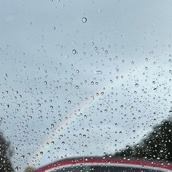 City of East Palo Alto - Rainbow