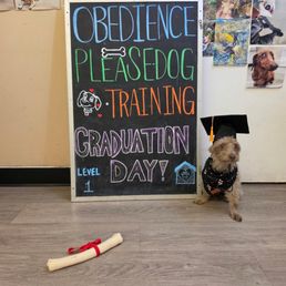 Graduation day!