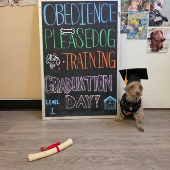 Obedience Please Dog Training - Graduation day! - Pet Training Near Me - South Pasadena, California