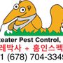 Photo of Anteater Pest Control