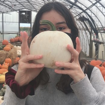 Abma's Farm - Pumpkins in many shapes and colors - Farmers Market Near Me - Wyckoff, New Jersey
