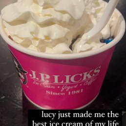 Chocolate Chip Ice Cream
