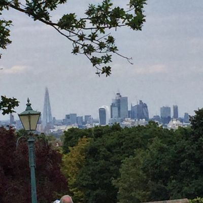 Horniman Museum and Gardens by null