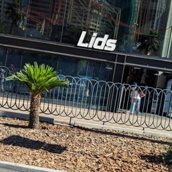 Lids