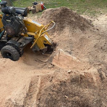 Making The Cut - Stump removal - Tree Services Near Me