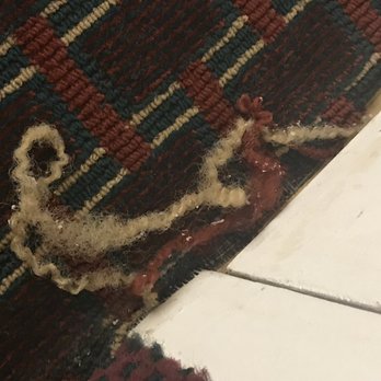 Econo Lodge Truman Inn - Carpet in our room. - Hotels Near Me - Sedalia, Missouri Econo Lodge Truman Inn - Carpet in our room. - Hotels Near Me - Sedalia, Missouri