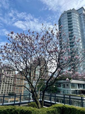 L'Hermitage Vancouver by null