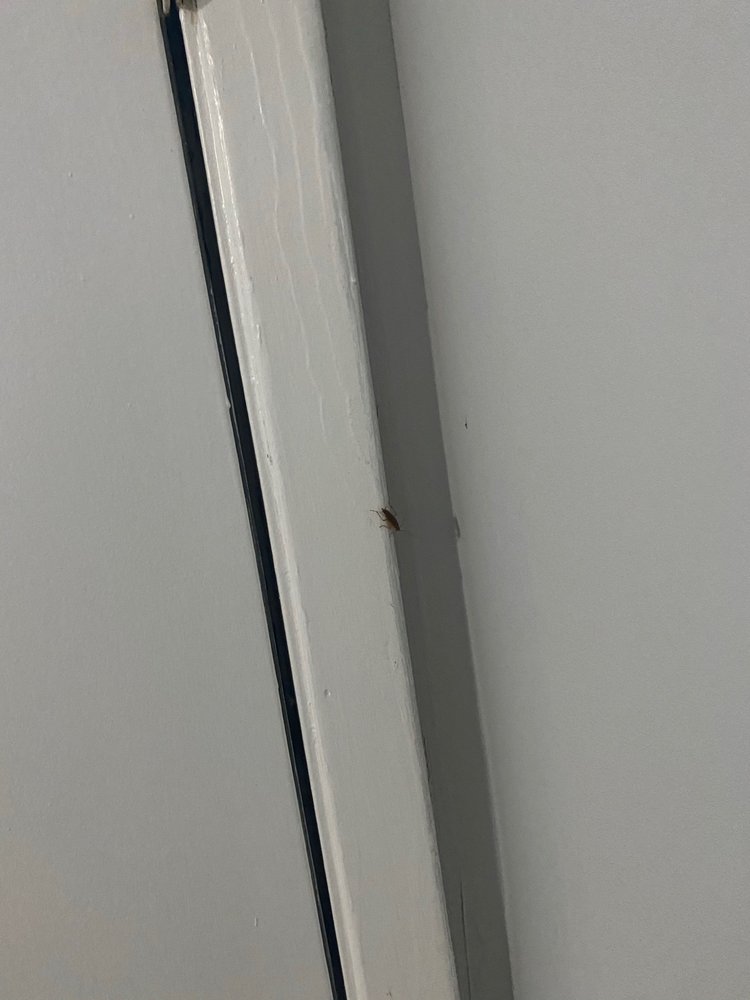 ASCOT PLACE APARTMENTS 16 Photos 544 Gadsden Hwy, Birmingham