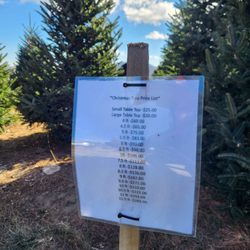 C and J Christmas Tree Farm