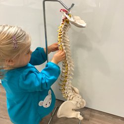 Transform Chiropractic